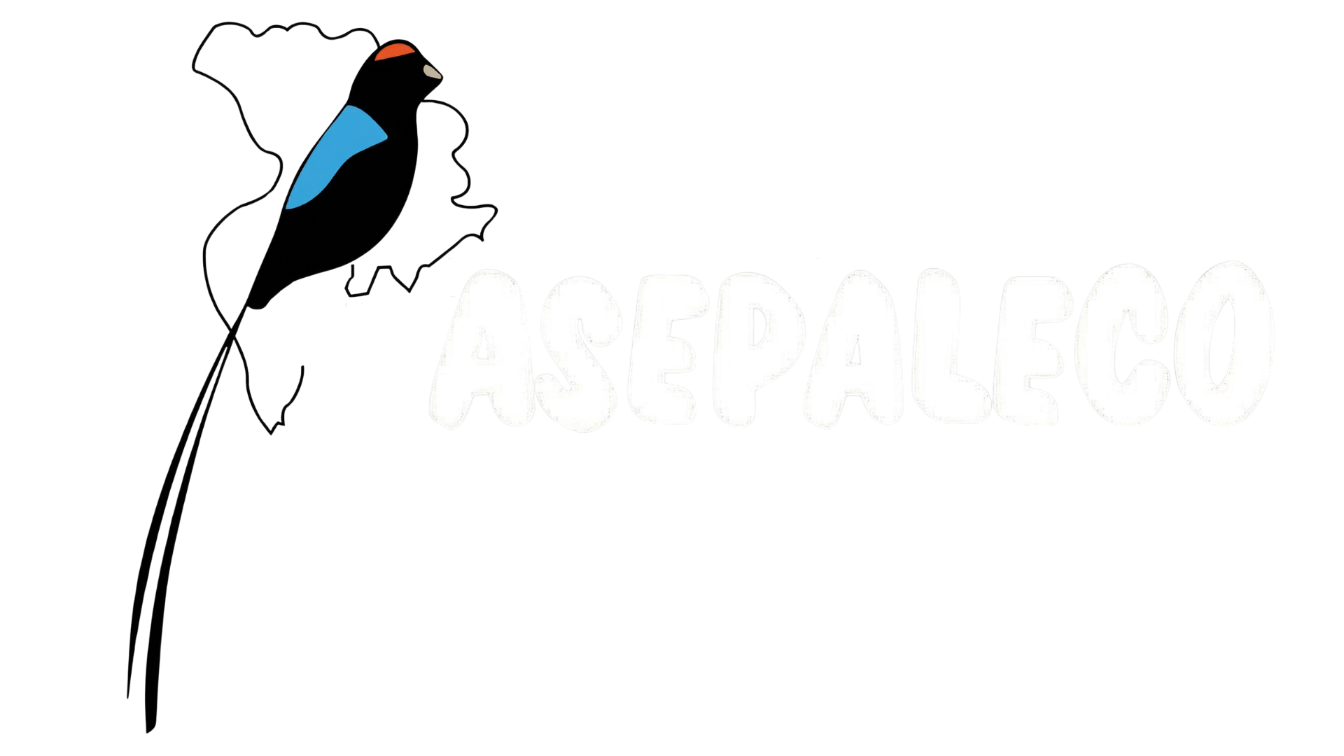ASEPALECO LOGO