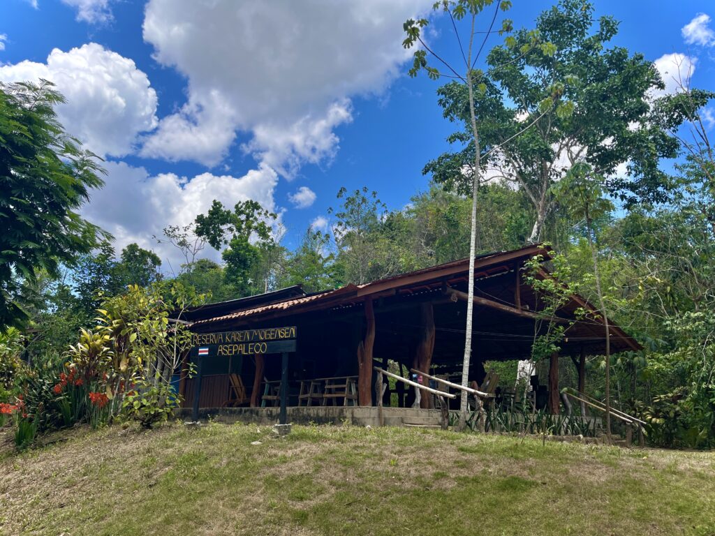 Karen Mogensen Ecolodge